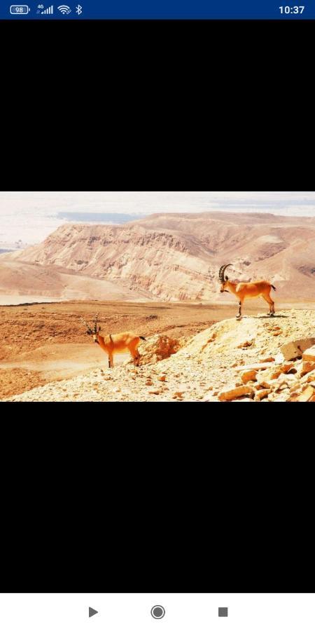 אלת המדברgoddess Of The Desert Be'er Ora Exteriör bild